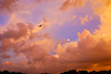 Madrid > Clouds and Sky >  Calm Before The Storm