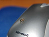 Madrid > My Insects >  Spider on mouse