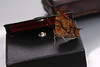 Madrid > Butterflies >  Question Mark butterfly