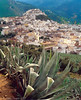 Madrid > The sacred city of Moulay Idriss. We were told that it was the first year it was opened to foreigness.