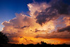 Yellow Storm : 